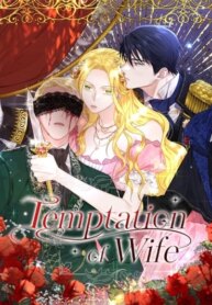 Cover 97065