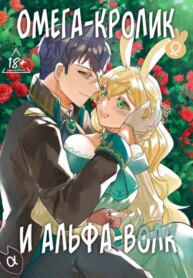Cover 97273