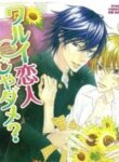 Cover 97578