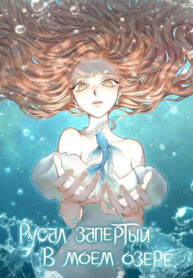 Cover 98205