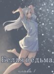 Cover 98211