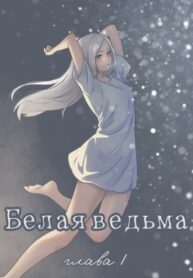 Cover 98211
