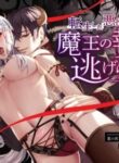 Cover 98411