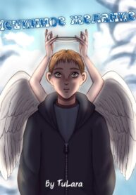Cover 98471