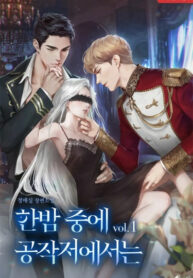 Cover 99647